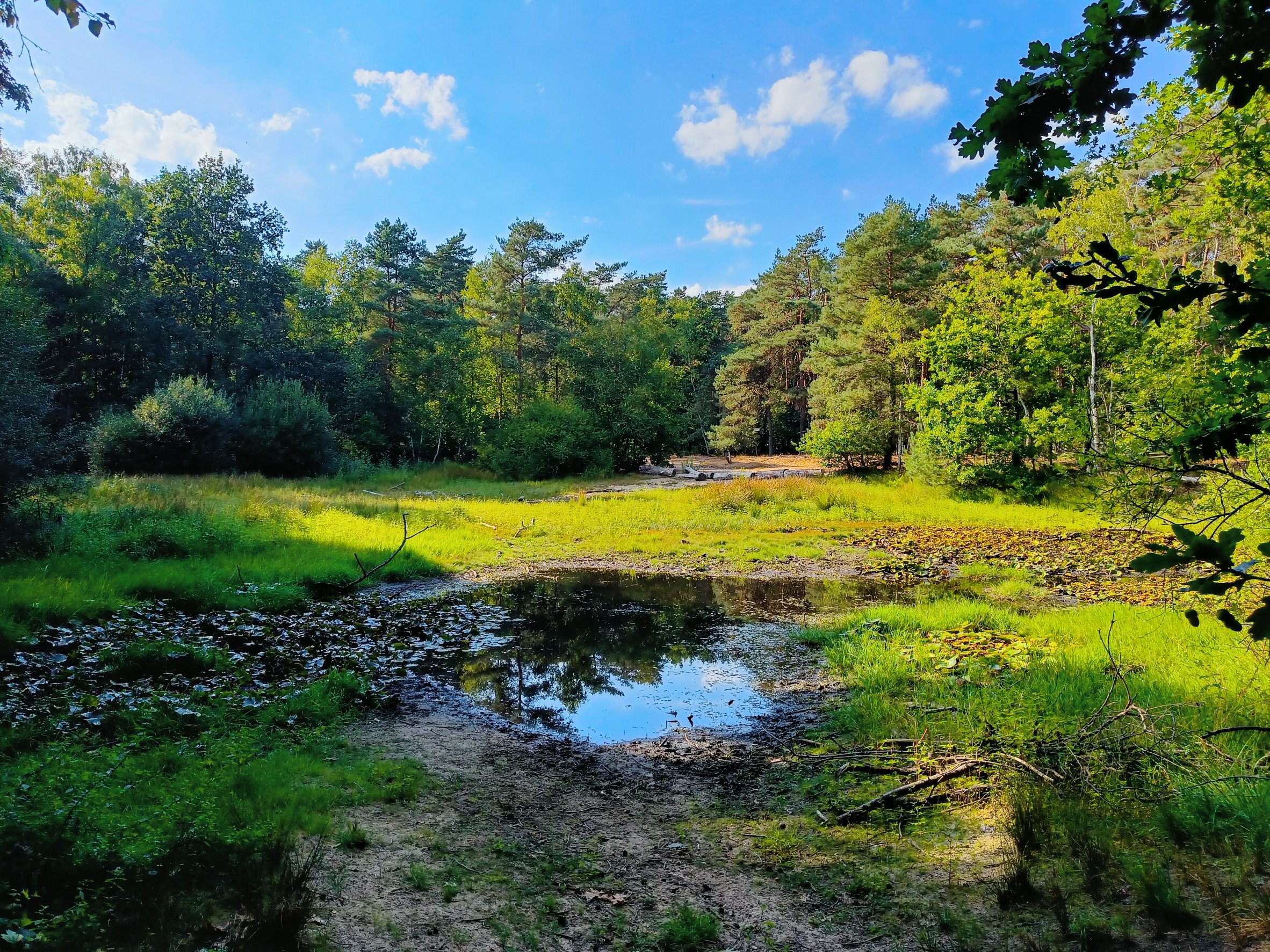 Sint-Job-In-'t-Goor: Brechtse Heide (6,5 km)