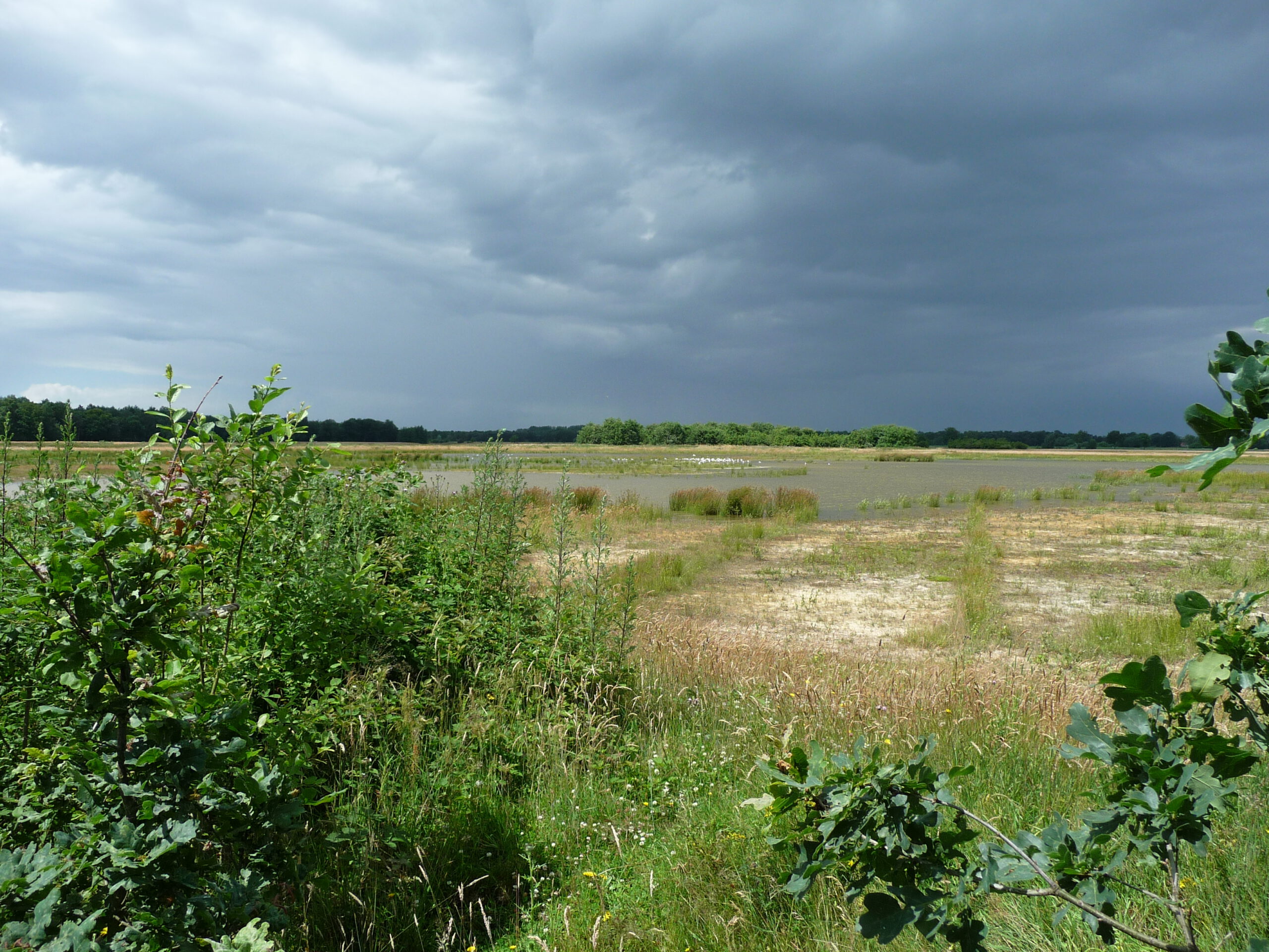 Wandeling doorheen Wortel Kolonie (7 km of 4,5 km)