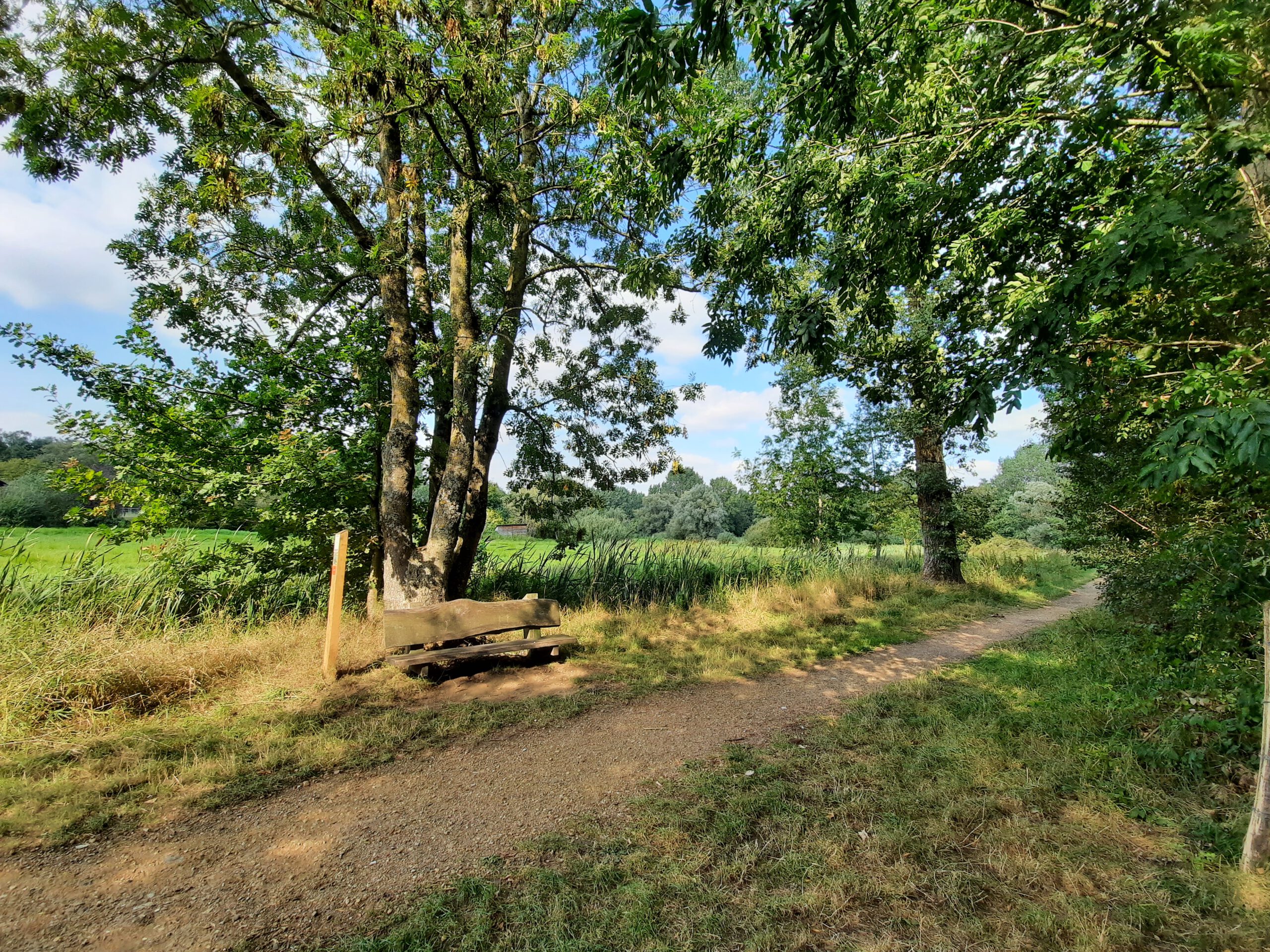 Willebroek: Broek van Blaasveld (6,5 km)