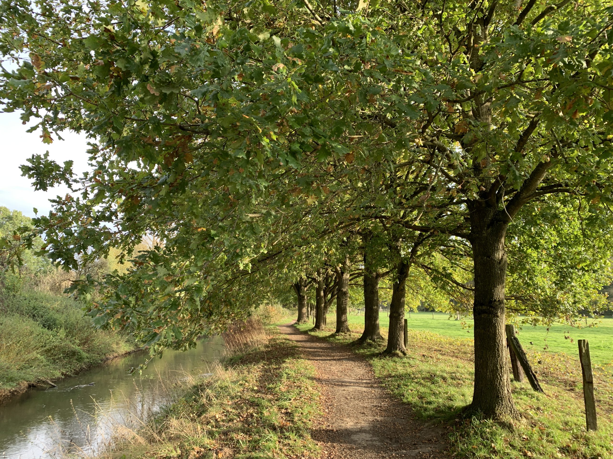 Wandeling in het Natuurreservaat De Doode Bemde  (7,5 km)