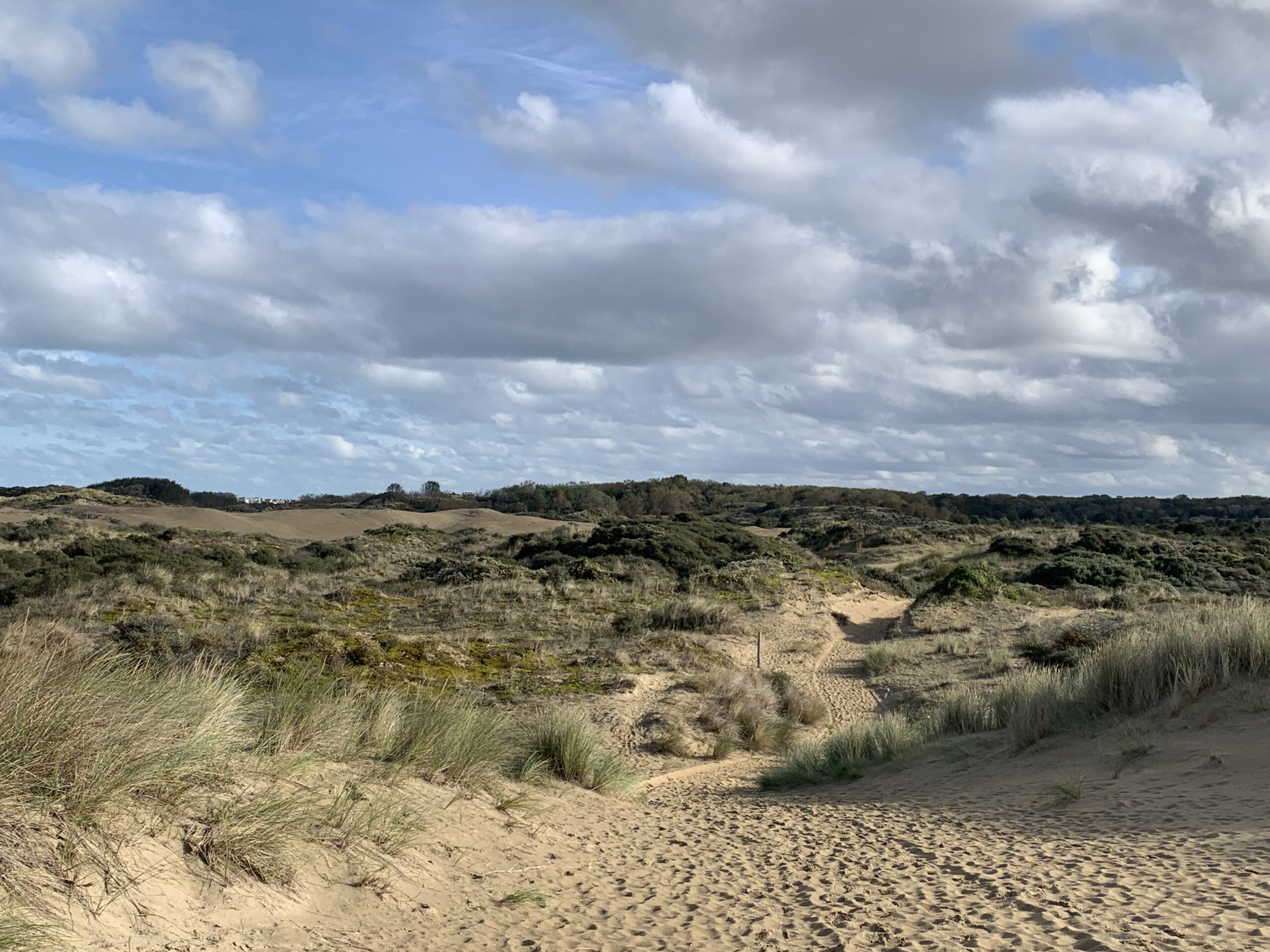 De natuur rond De Panne (10 km)