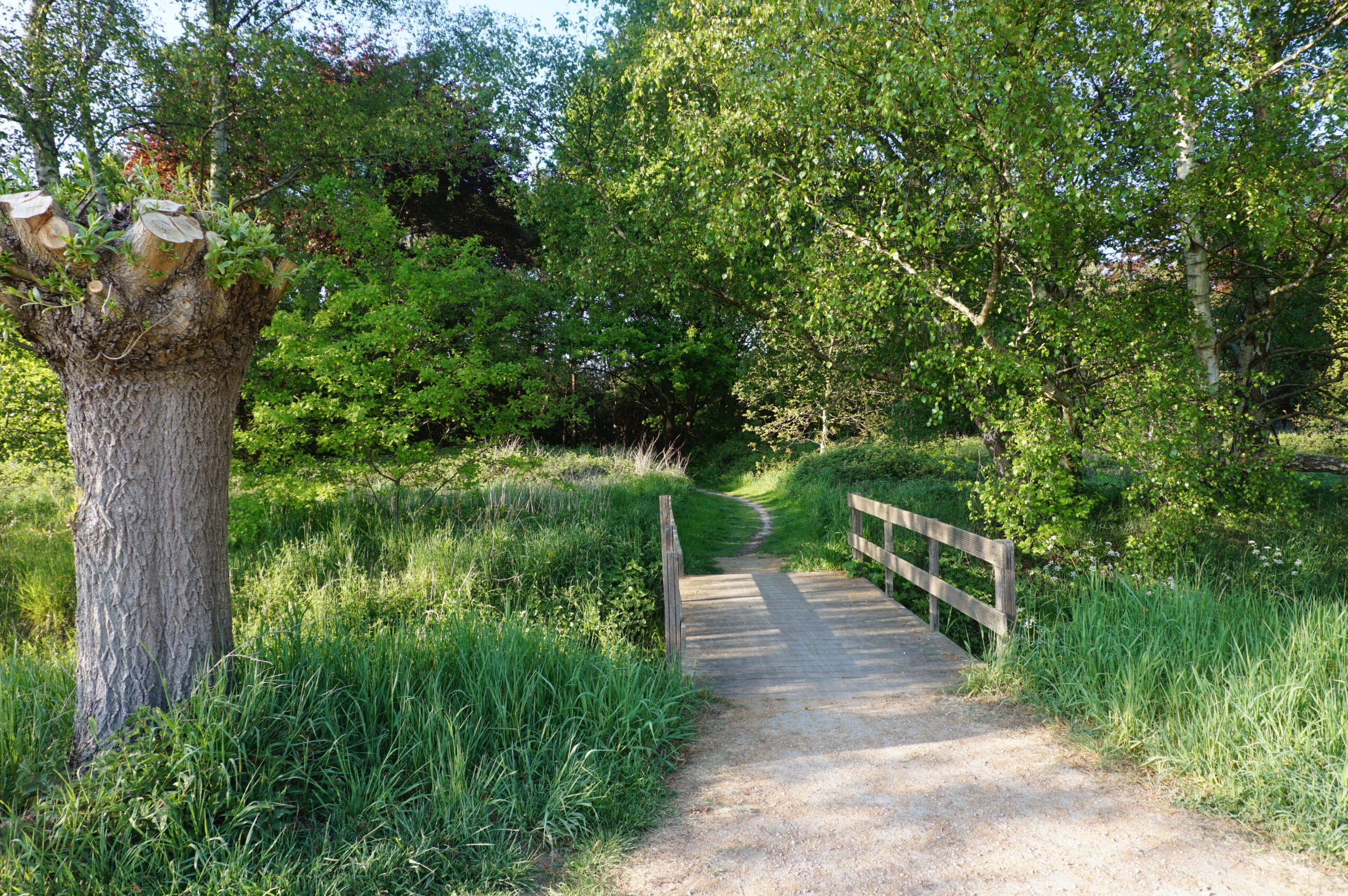 Wandeling doorheen het Fort van Borsbeek, de Koude Beek en het Nosegoed (7 km)