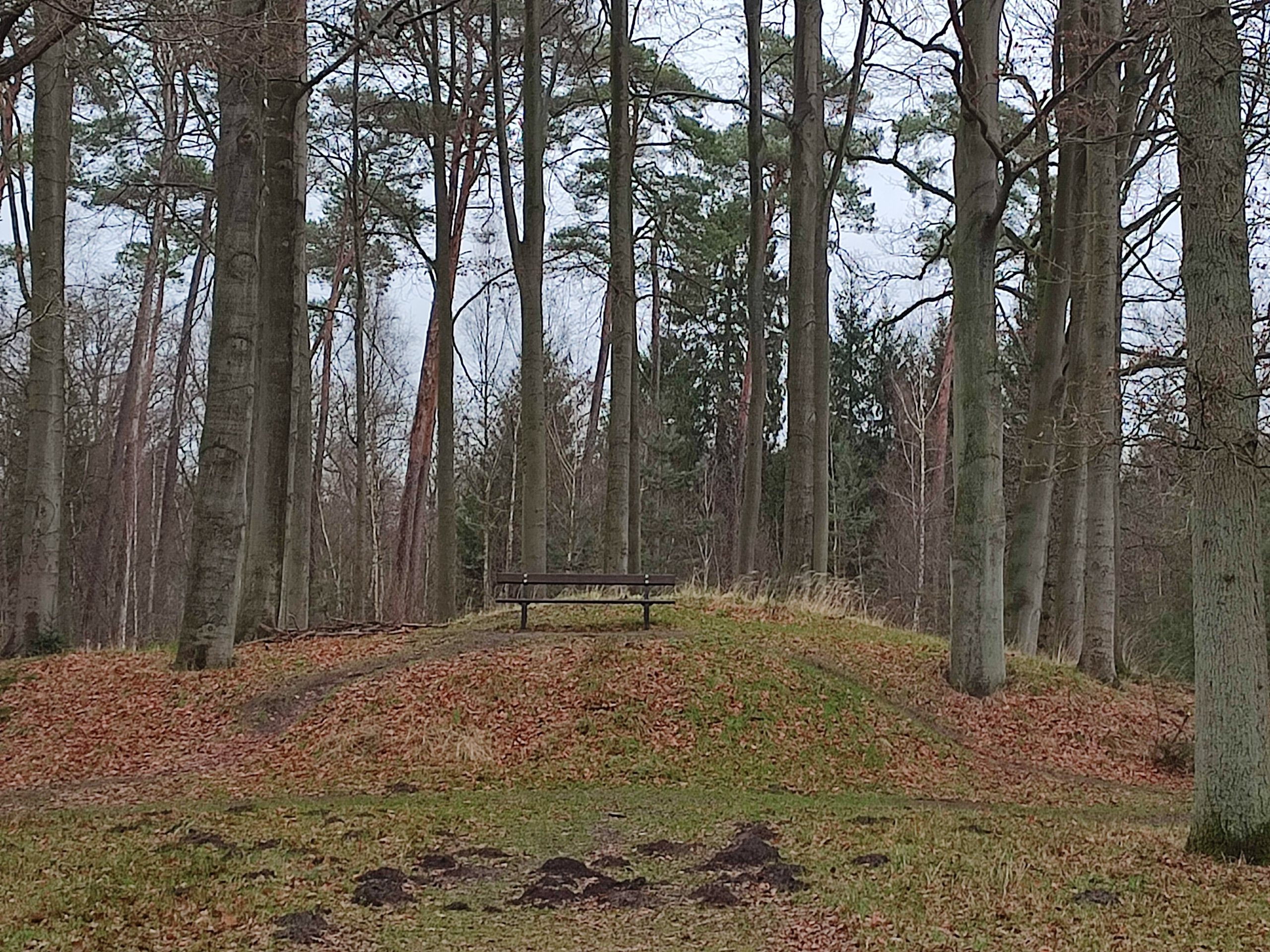 Wandeling doorheen Parkdomein Vordenstein (6 km)