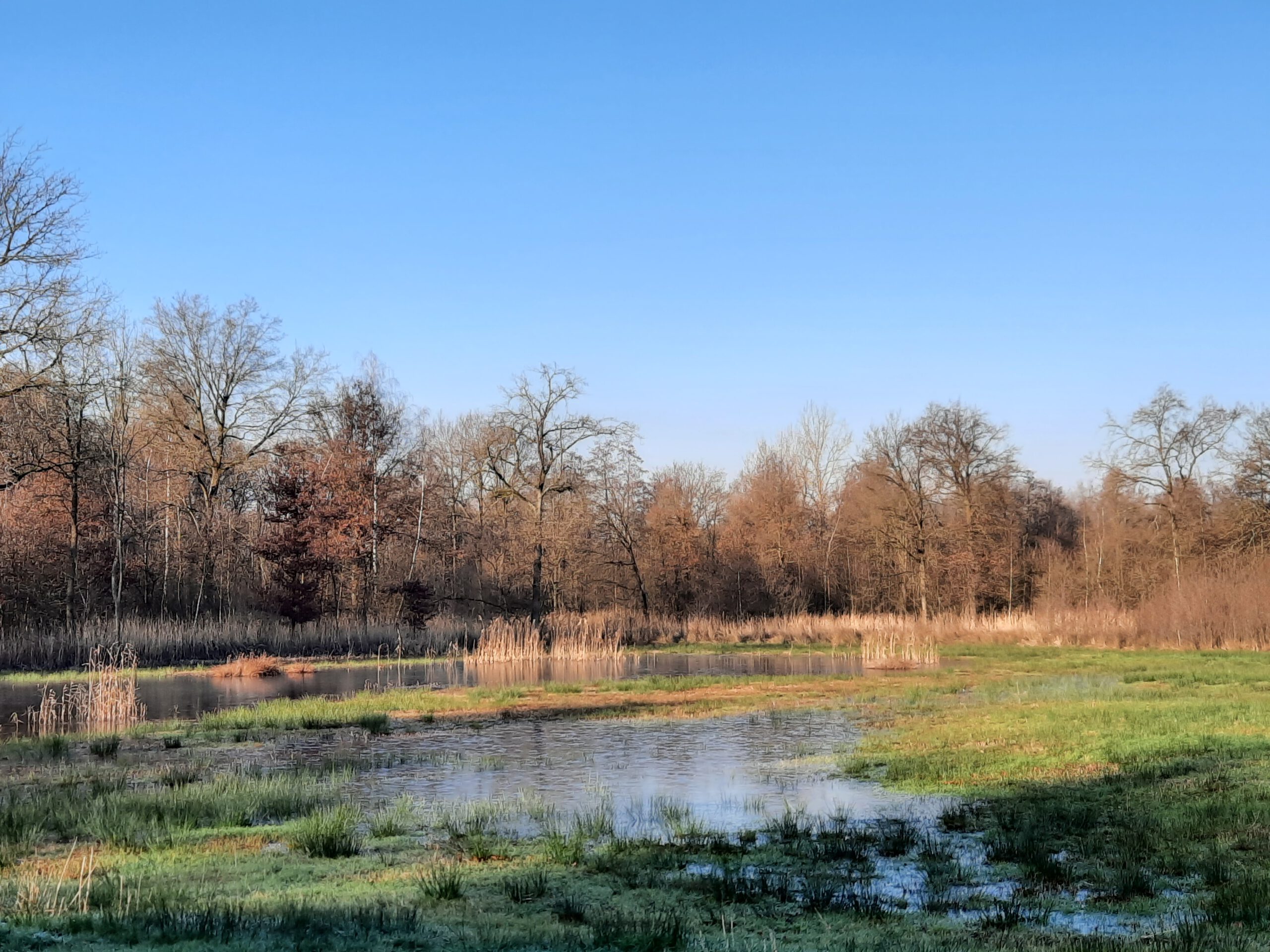 Lille: Wandeling doorheen de Kindernouw (Visbeekvallei) – 6,5 km