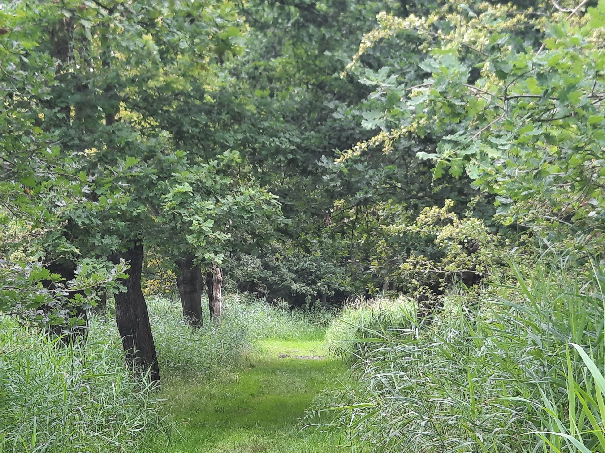 Wandeling doorheen het Berendrechtse groen (6,5 km)