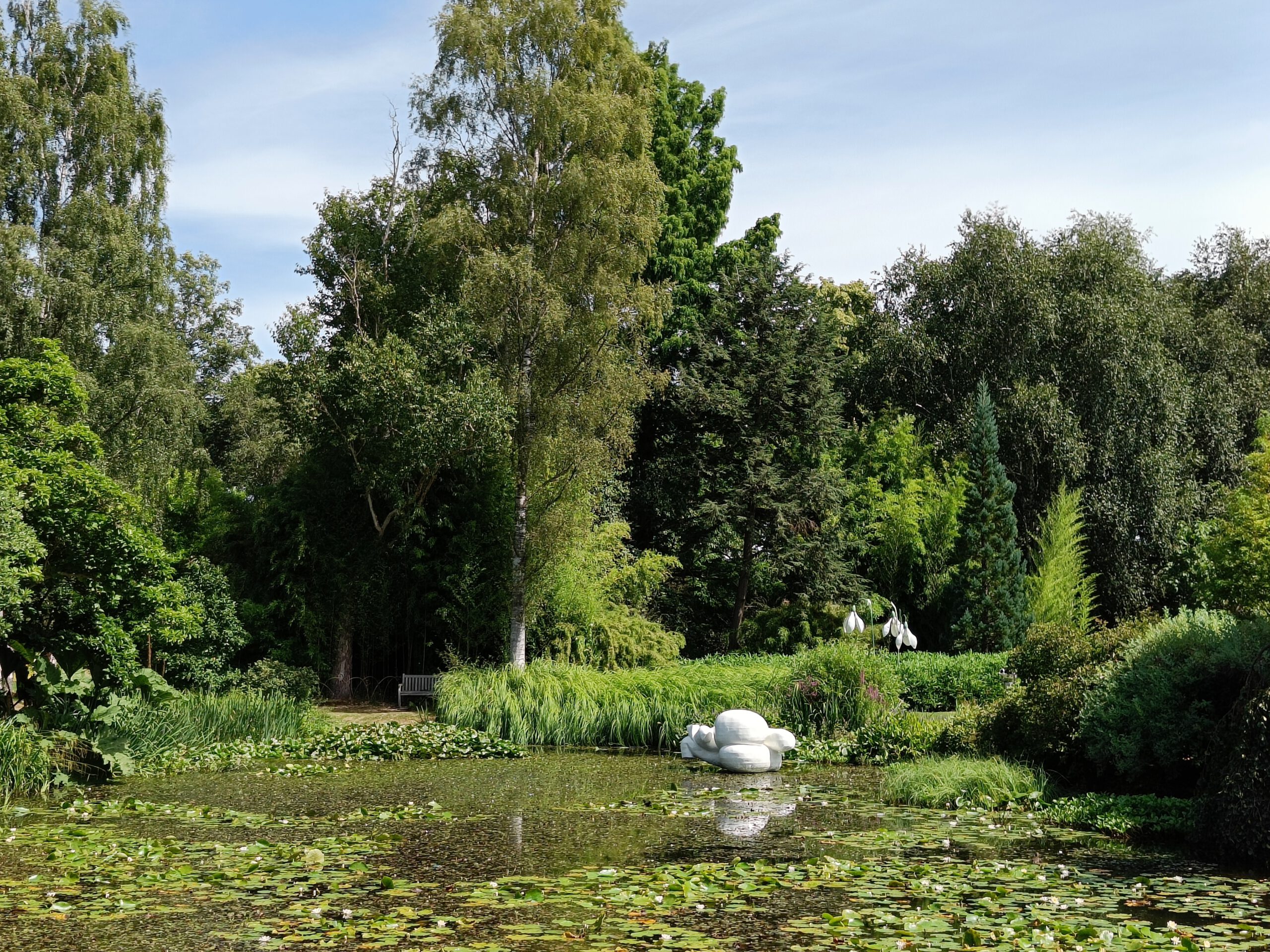 Uitstap 5 jaar Effen Weg: Gegidste wandeling in het Arboretum van Kalmthout en gezellig samen zijn.