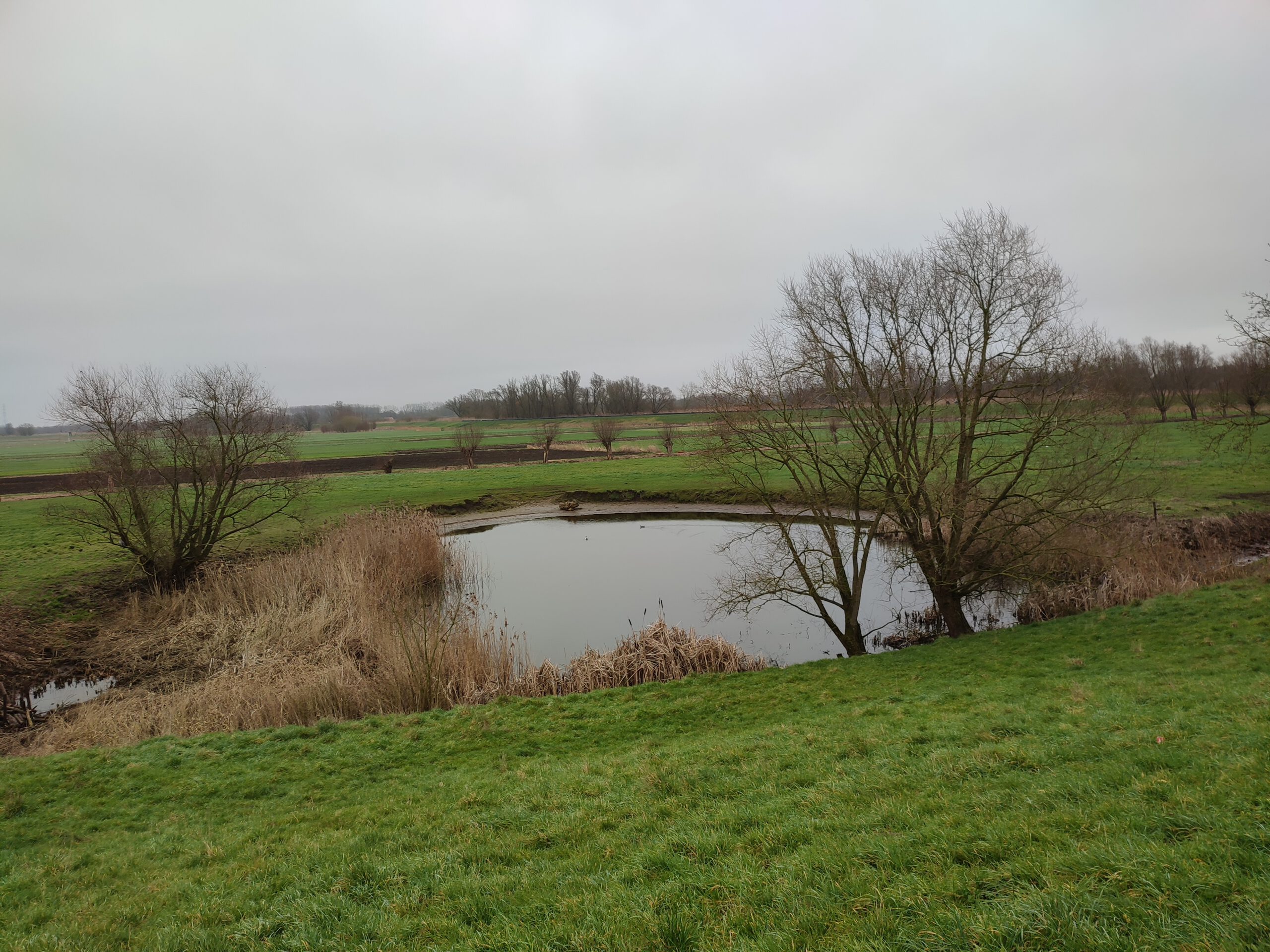 Potpolder & Roomacker - Tielrode (4+4 km)