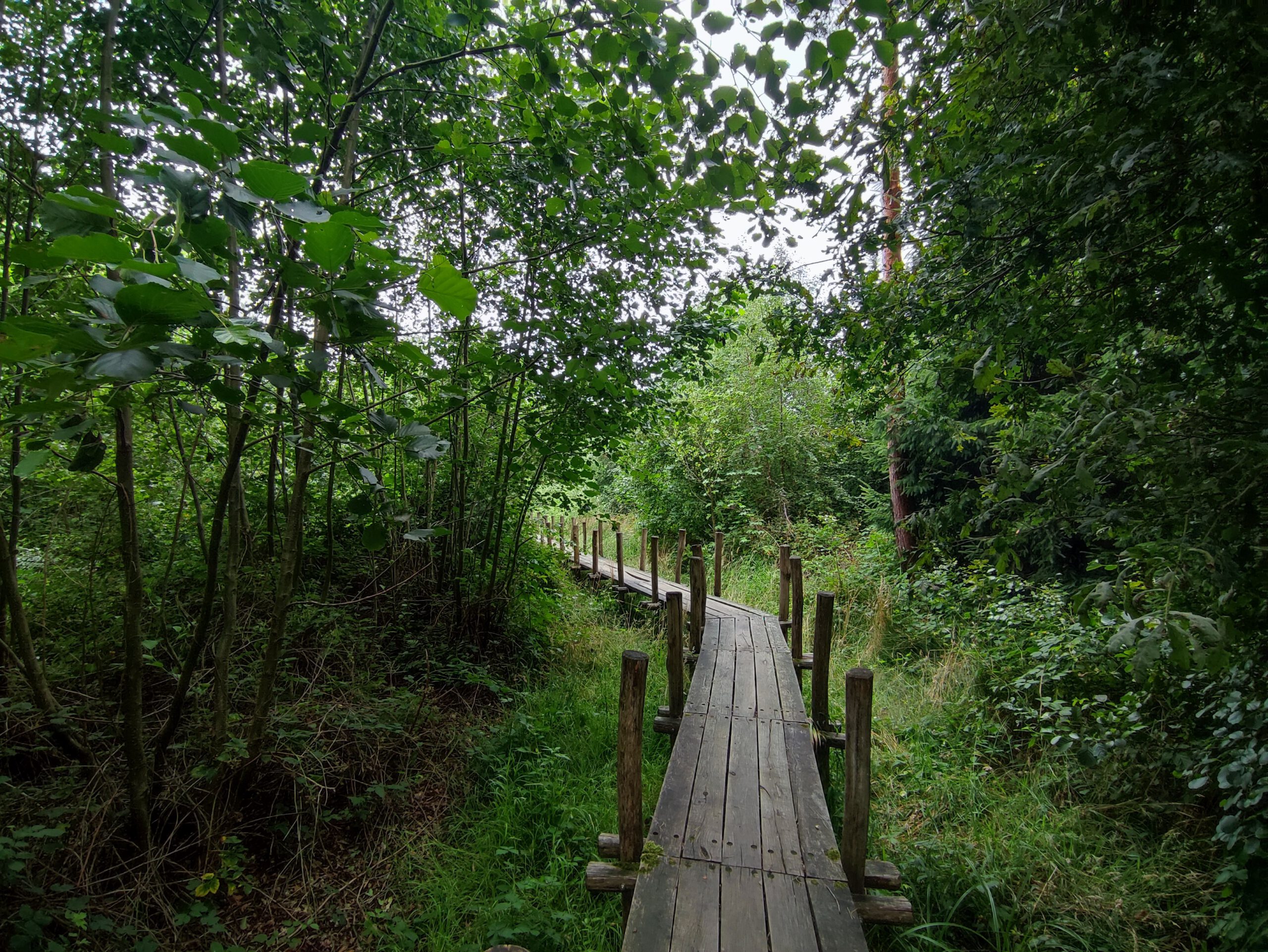 Herenthout: Herfstwandeling 't Schipke aan de Nete en langs de Kruiskensberg (6,5 km)