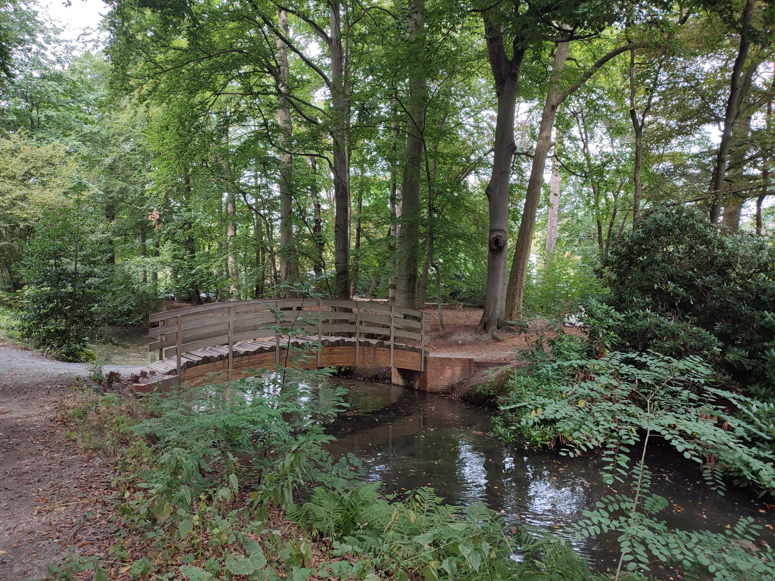 Antwerpen Middelheimpark: wandeling doorheen de vernieuwde beeldentuin en het Park den Brandt (6 km)