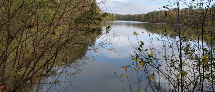 Gelukswandeling - Hengelhoef (2,7 km)