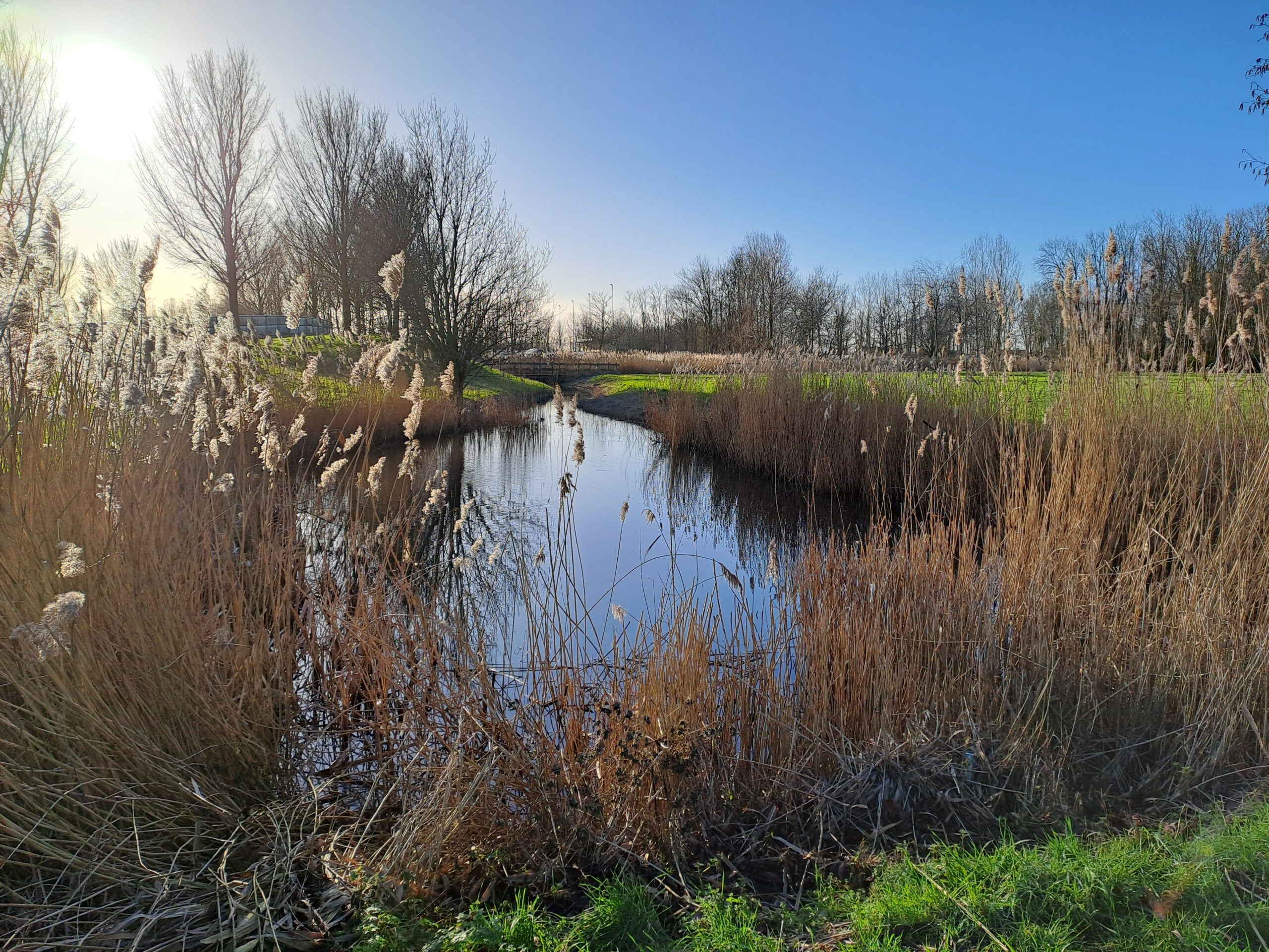 Wandeling in de Schorre te Oostende-Stene (6,7 km)