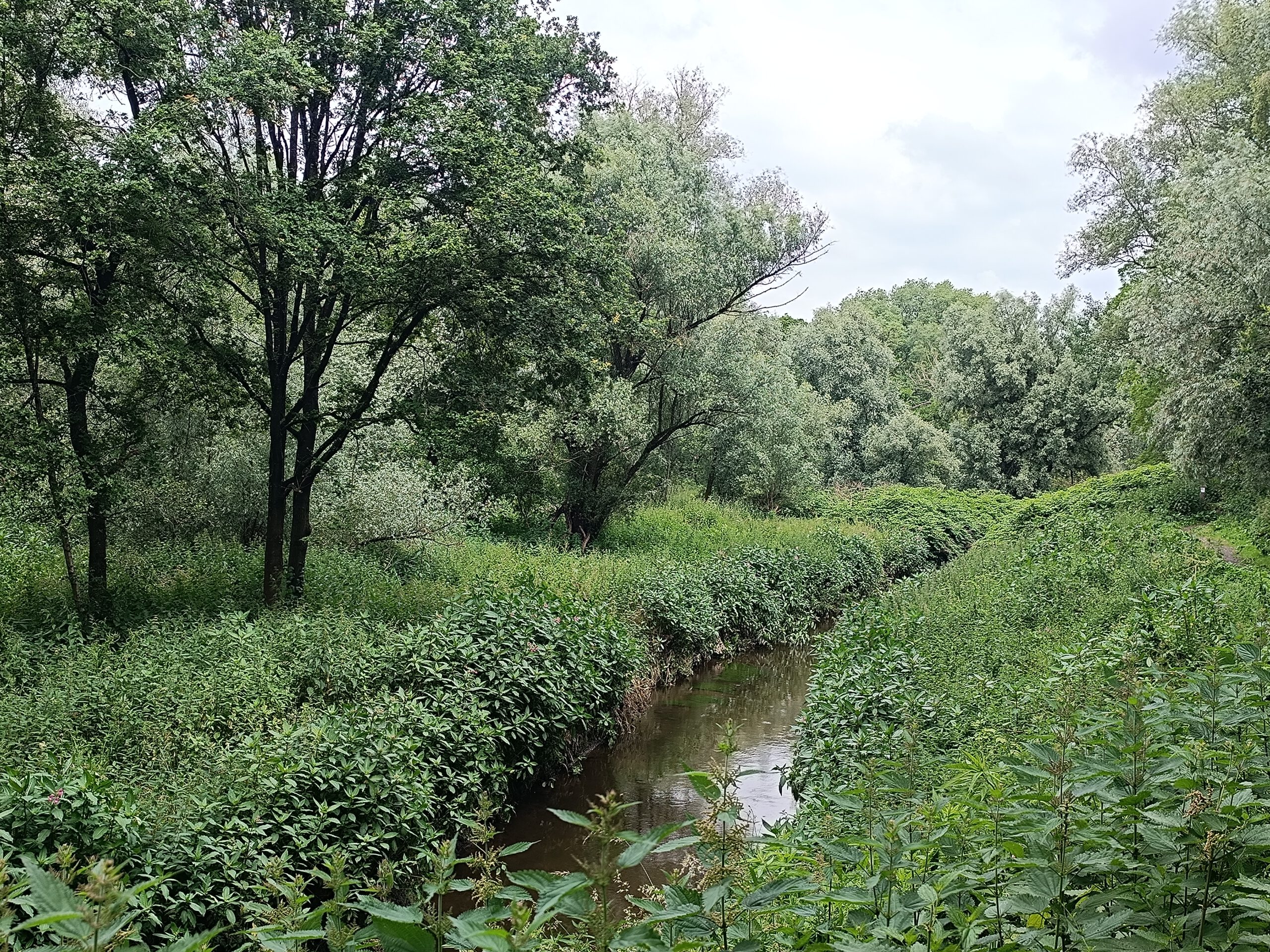 Aartselaar: wandeling in en rond Cleydael (5,5 km)